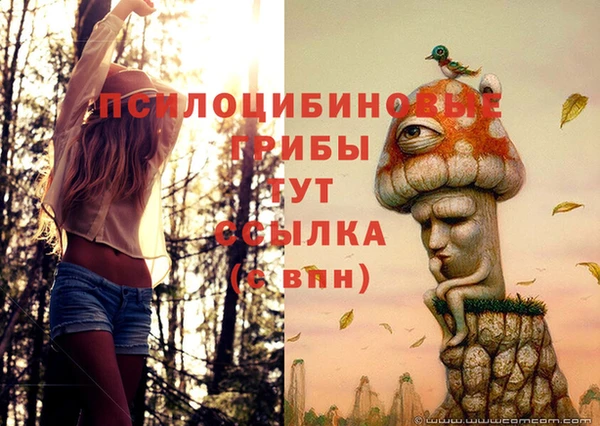 MDMA Арсеньев