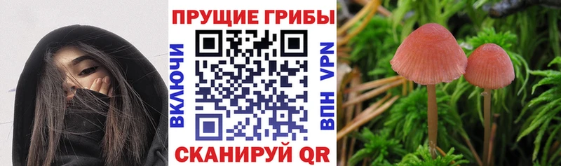 Купить  Выкса  Галлюциногенные грибы Magic Shrooms 